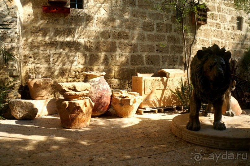 Сокровища  Иудейской пустыни.