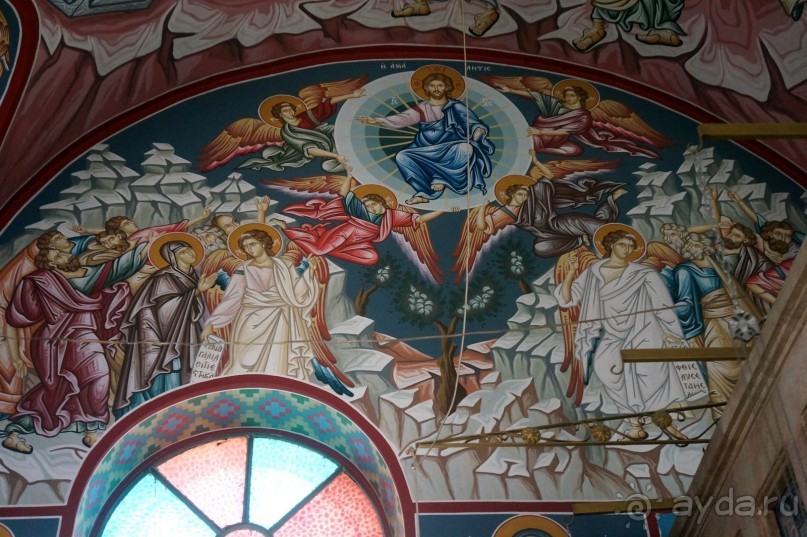 Сокровища  Иудейской пустыни.