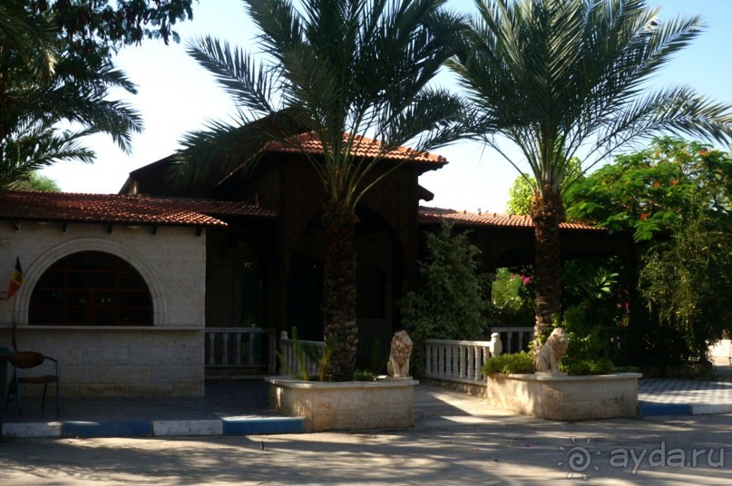 Сокровища  Иудейской пустыни.