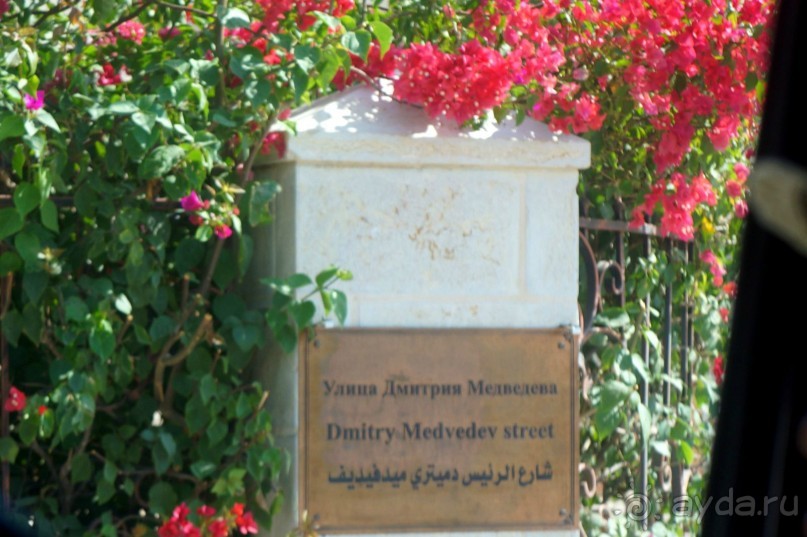 Сокровища  Иудейской пустыни.