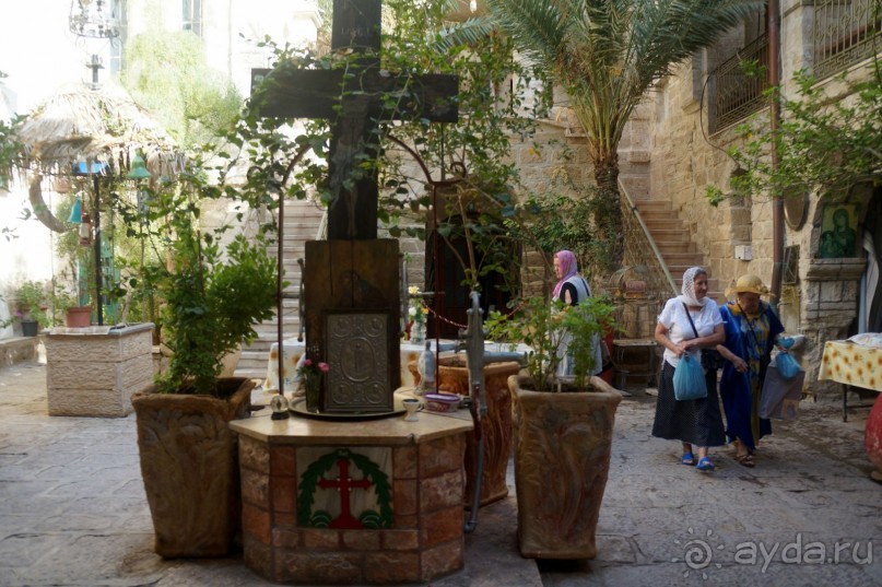 Сокровища  Иудейской пустыни.