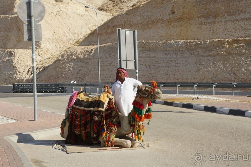 Сокровища  Иудейской пустыни.