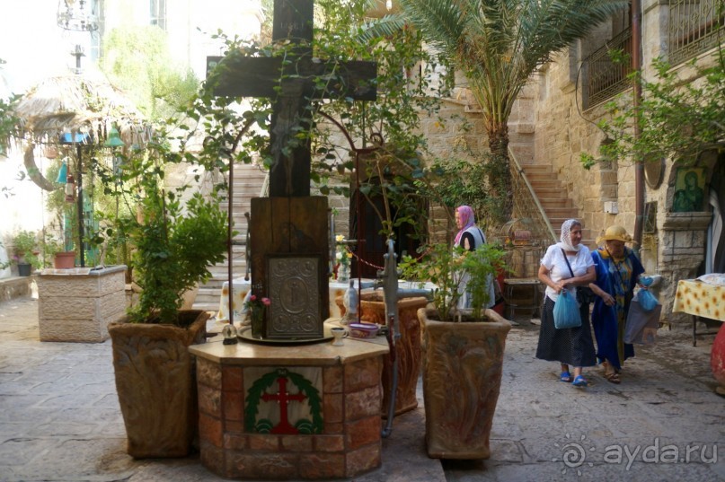 Сокровища  Иудейской пустыни.