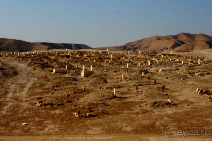 Сокровища  Иудейской пустыни.