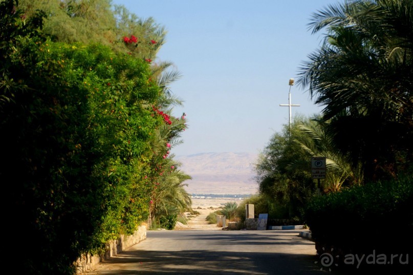 Сокровища  Иудейской пустыни.