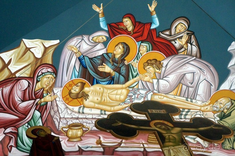 Сокровища  Иудейской пустыни.