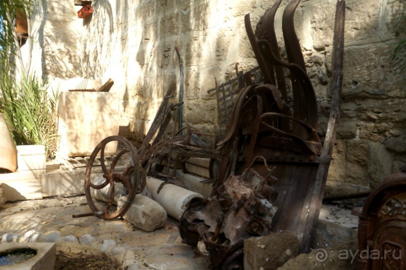 Сокровища  Иудейской пустыни.