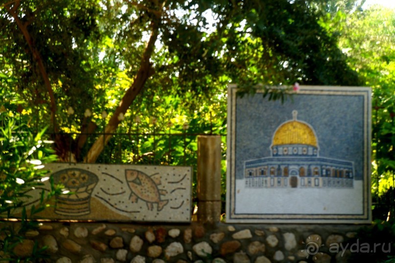 Сокровища  Иудейской пустыни.