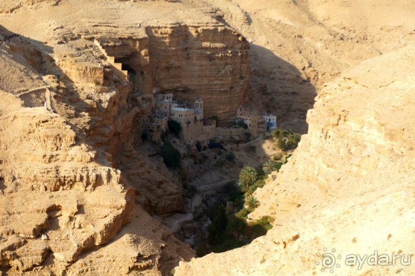 Сокровища  Иудейской пустыни.