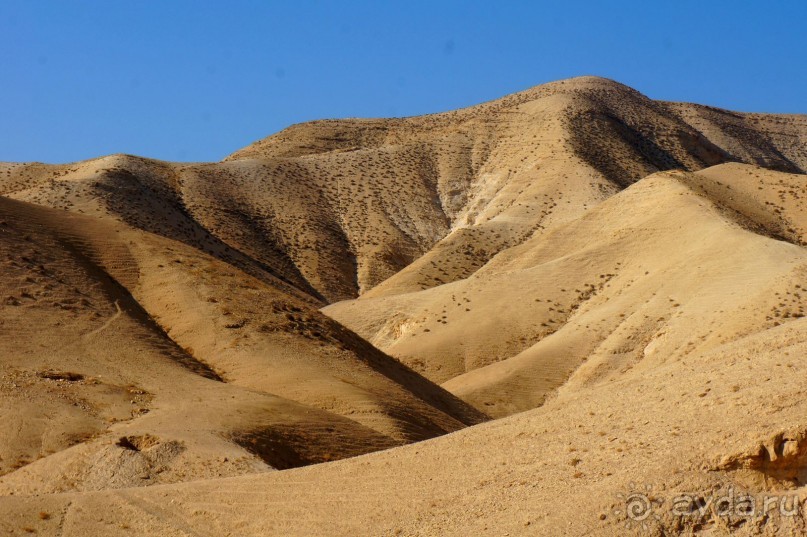 Сокровища  Иудейской пустыни.