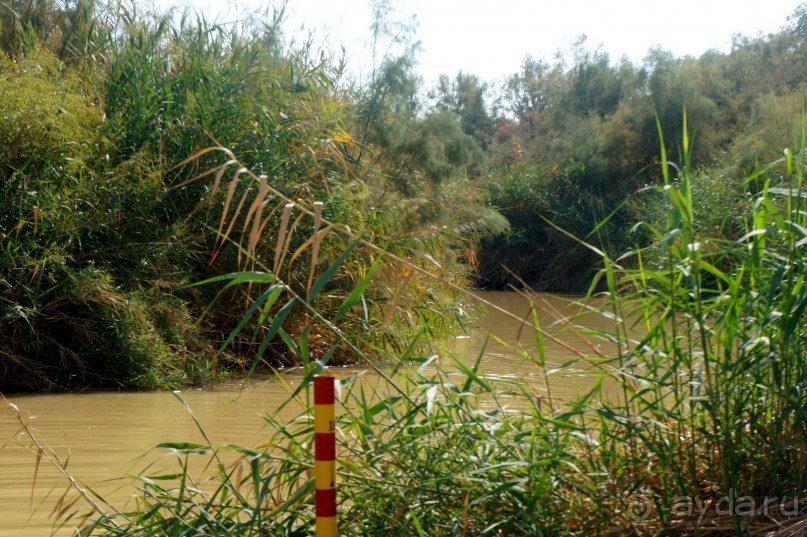 Сокровища  Иудейской пустыни.