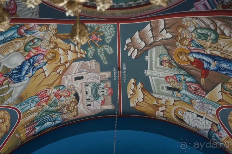 Сокровища  Иудейской пустыни.