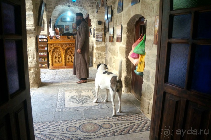 Сокровища  Иудейской пустыни.