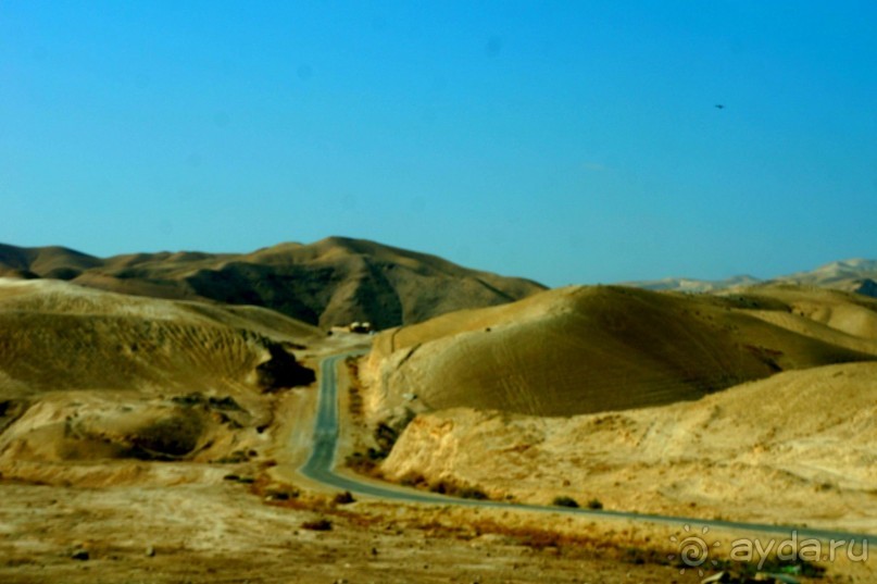 Сокровища  Иудейской пустыни.