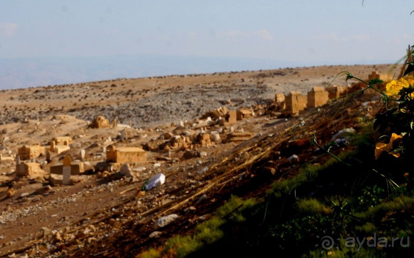 Сокровища  Иудейской пустыни.