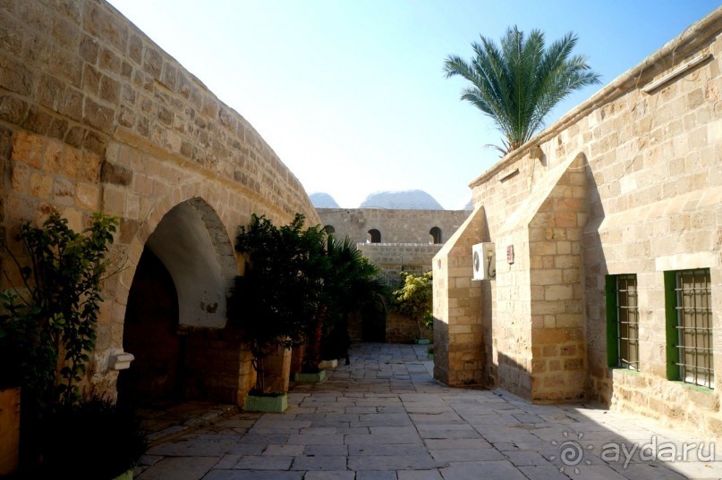 Сокровища  Иудейской пустыни.