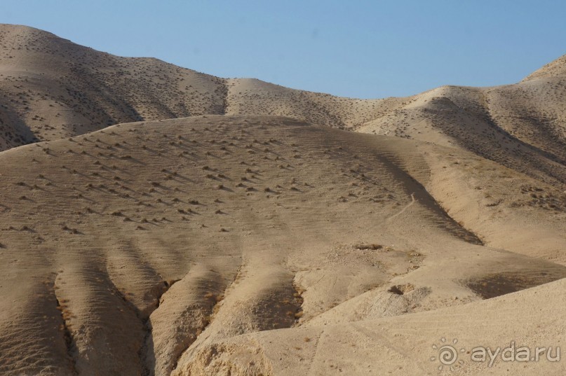 Сокровища  Иудейской пустыни.