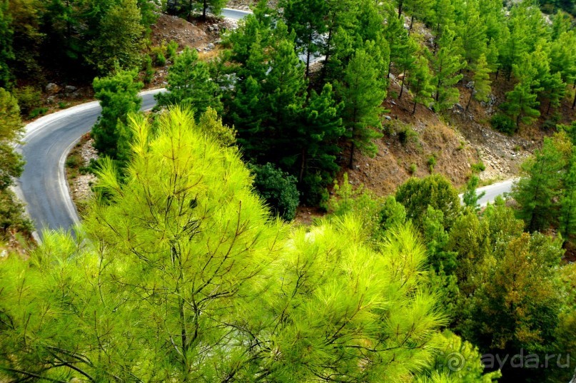 Зеленый   каньон.