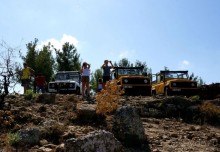 Зеленый   каньон.