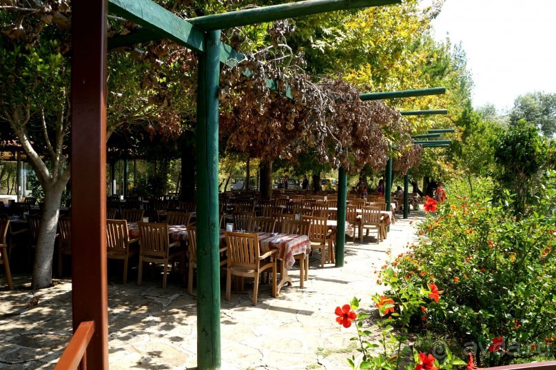 Зеленый   каньон.