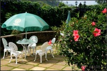 Нувара  Элия.  Путь  от  кофе  к  чаю.