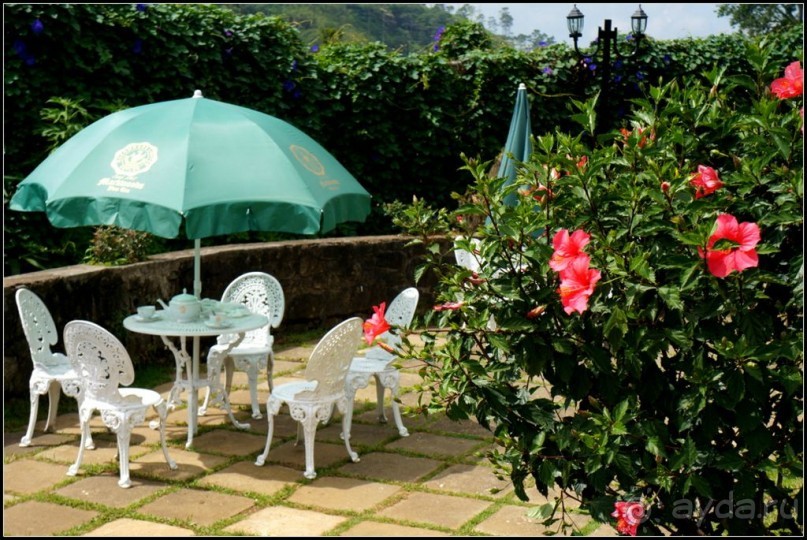 Нувара  Элия.  Путь  от  кофе  к  чаю.