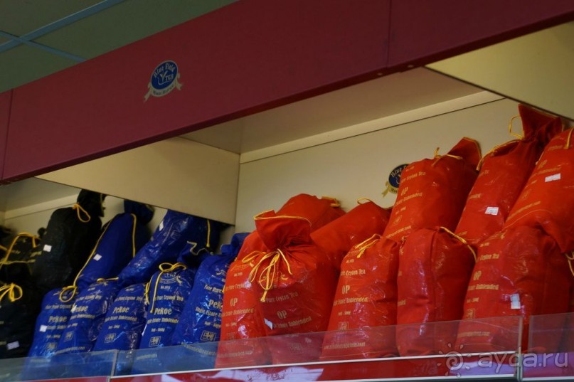 Нувара  Элия.  Путь  от  кофе  к  чаю.