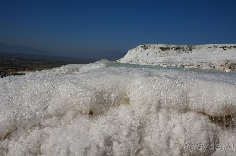 Белоснежное    чудо....