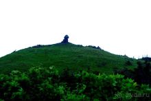 Альбом отзыва "Бухта  Тихая. Восточный берег Сахалина."