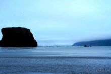 Бухта  Тихая. Восточный берег Сахалина.