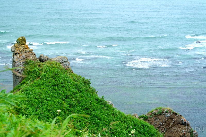 Альбом отзыва "Бухта  Тихая. Восточный берег Сахалина."