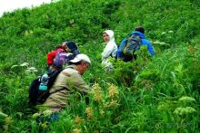 Альбом отзыва "Бухта  Тихая. Восточный берег Сахалина."