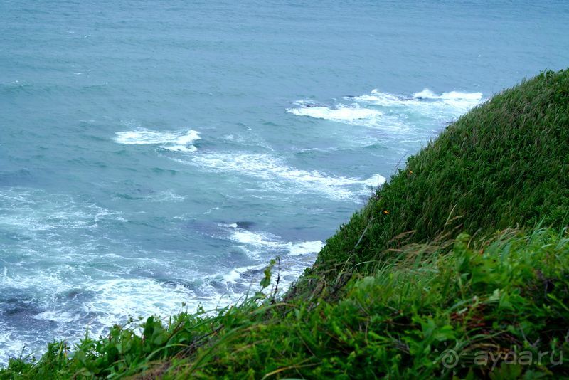 Альбом отзыва "Бухта  Тихая. Восточный берег Сахалина."