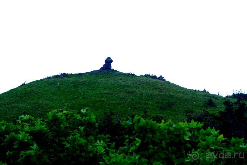 Бухта  Тихая. Восточный берег Сахалина.