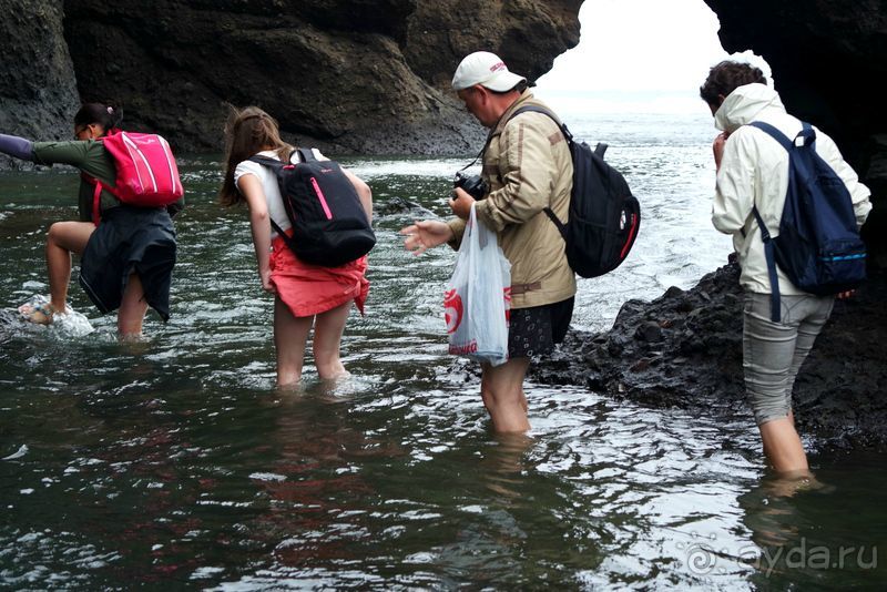 Бухта  Тихая. Восточный берег Сахалина.
