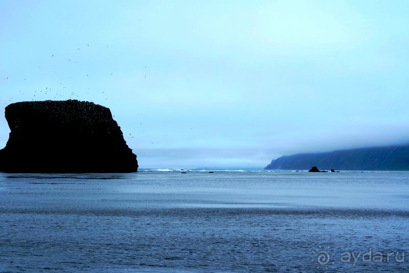 Бухта  Тихая. Восточный берег Сахалина.