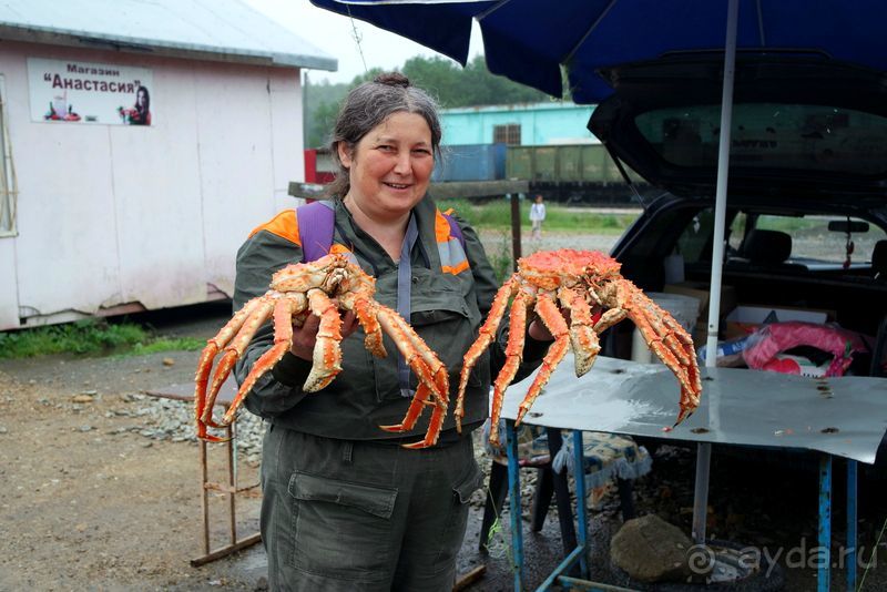 Бухта  Тихая. Восточный берег Сахалина.