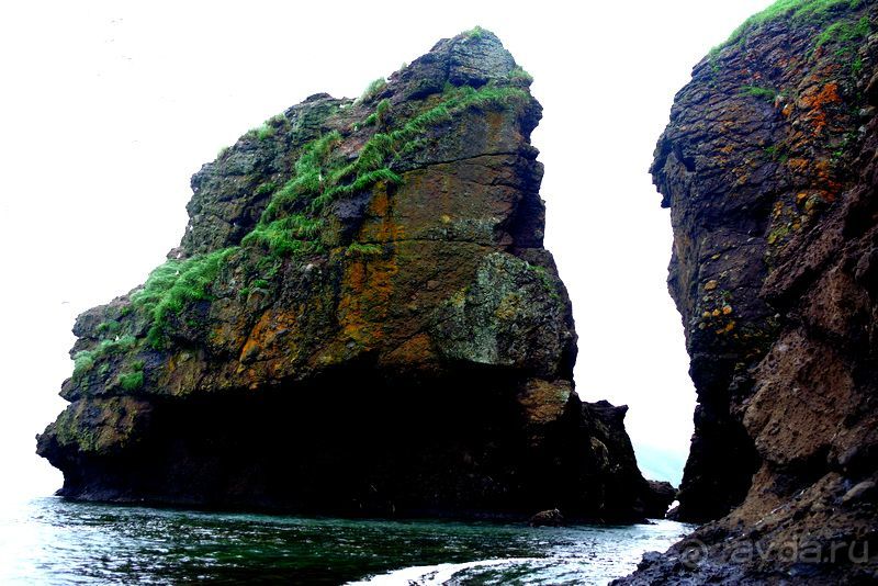 Бухта  Тихая. Восточный берег Сахалина.