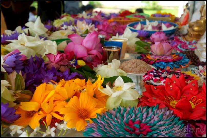 Неординарный   Будда.