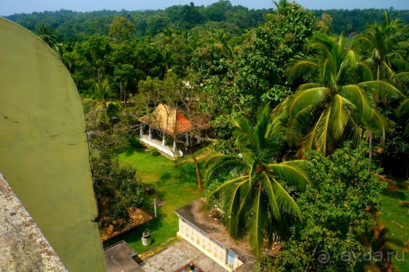 Неординарный   Будда.