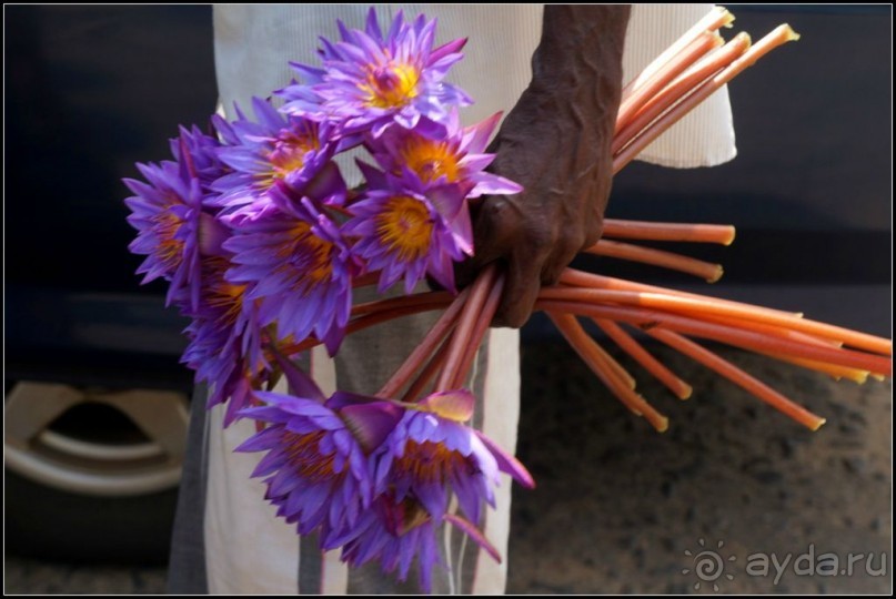Неординарный   Будда.