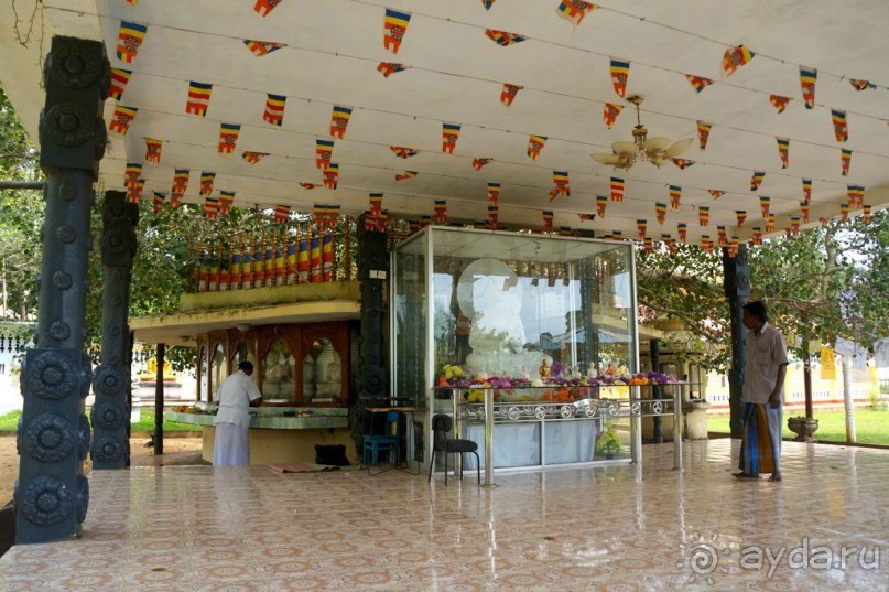 Неординарный   Будда.