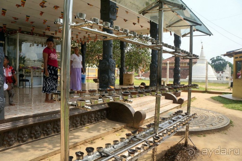 Неординарный   Будда.