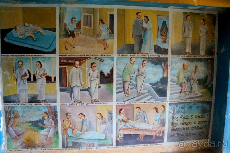 Неординарный   Будда.