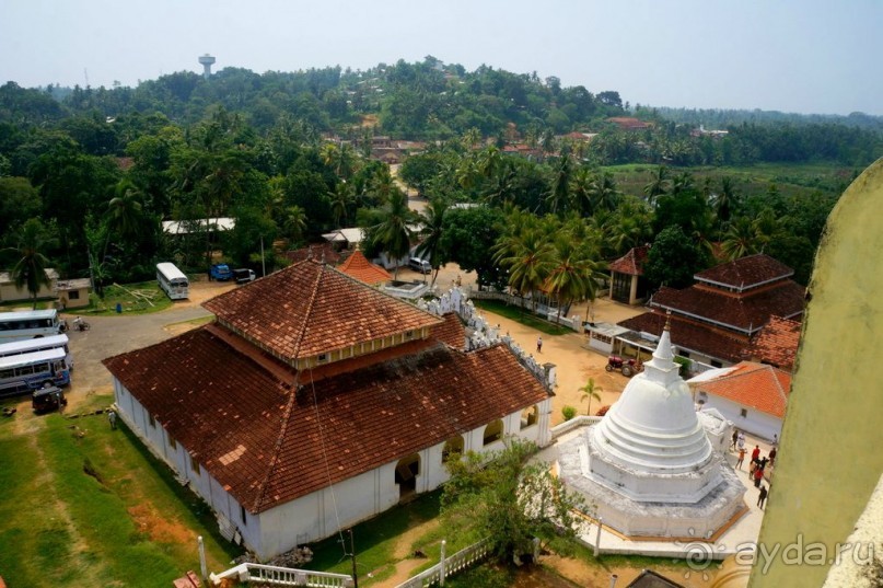 Неординарный   Будда.