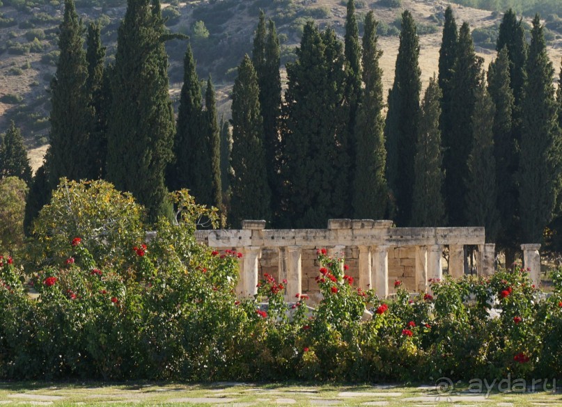 Альбом отзыва "Древний   город  -  сосед   Паммукале..."