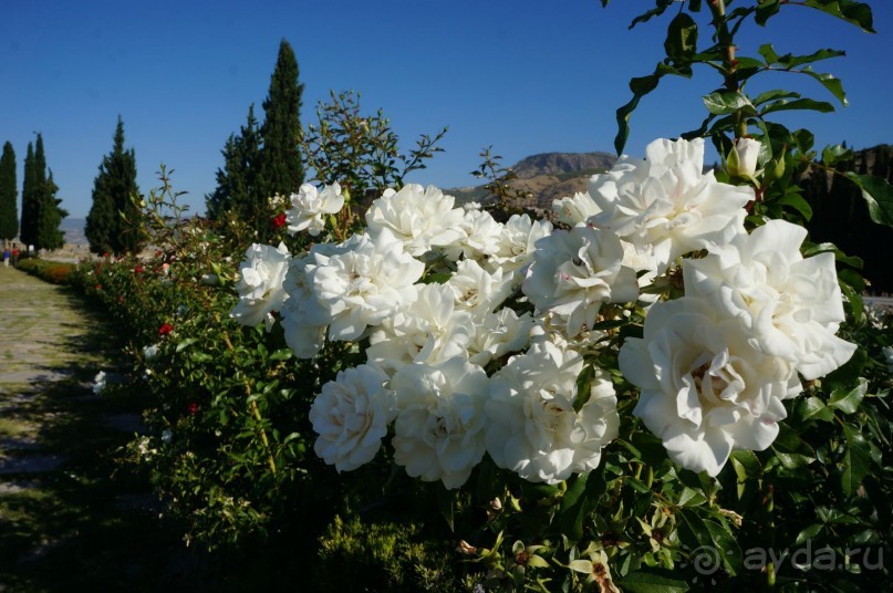 Древний   город  -  сосед   Паммукале...