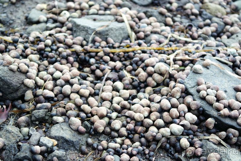 Тишина бухты Тихой.