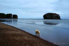 Тишина бухты Тихой.