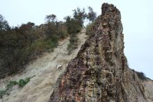 Тишина бухты Тихой.